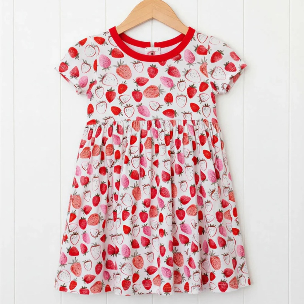 NWT Bestaroo Strawberries Bamboo Dress 2T Strawberry Fields